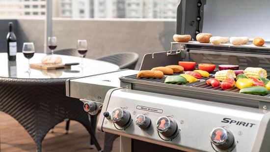 Shama Chill: rooftop garden with barbecue area Shama Chill: rooftop garden with barbecue area