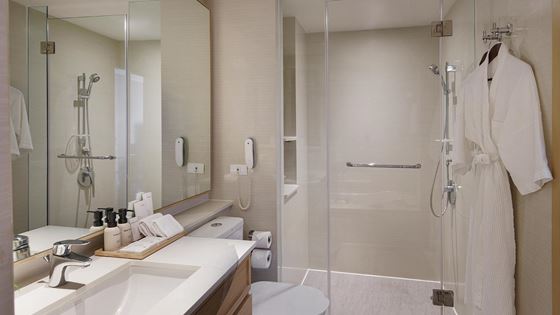 Studio Deluxe - Bathroom - Shama Lakeview Asoke Bangkok