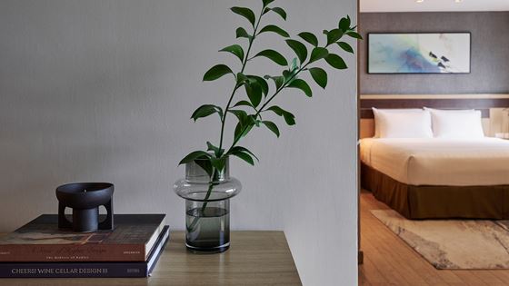 One Bedroom - King Bed - Shama Lakeview Asoke Bangkok
