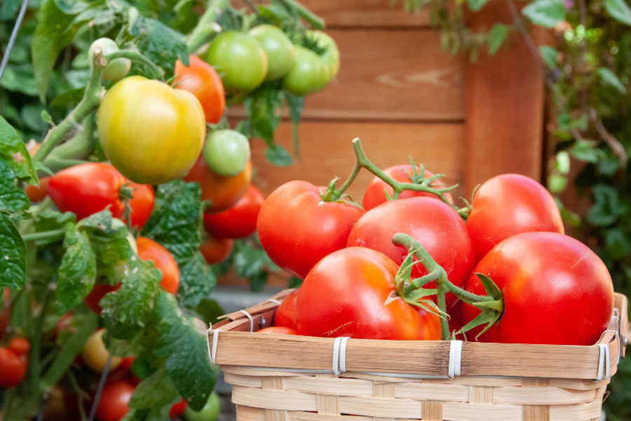 Empowering Hoteliers & Food Security Empowering Hoteliers & Food Security