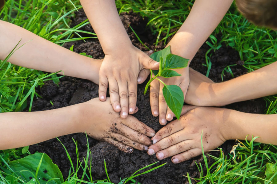 Certified Low-Carbon Commitment Certified Low-Carbon Commitment