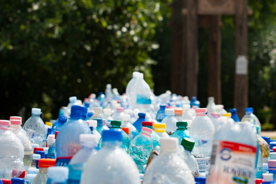 From Plastic to Purpose From Plastic to Purpose