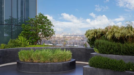 secret-garden_daytime