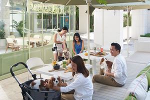 ที่นี่ น้องๆ มีความสุข - ชามา เย็นอากาศ กรุงเทพฯ ที่นี่ น้องๆ มีความสุข - ชามา เย็นอากาศ กรุงเทพฯ