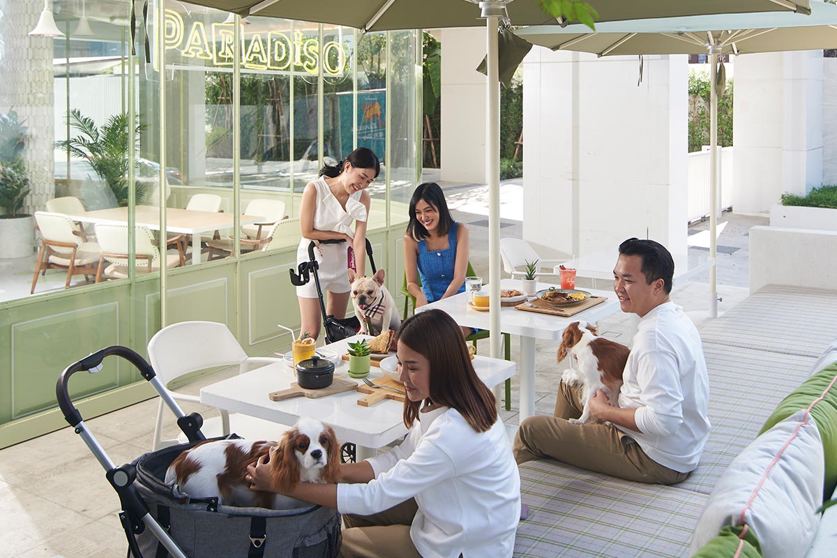 Love Me, Love My Dog - Shama Yen-Akat Bangkok