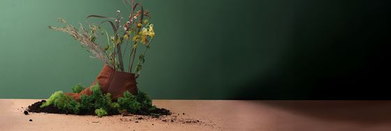 Path to #RIPPLEImpact - Shama Petchburi 47 Bangkok