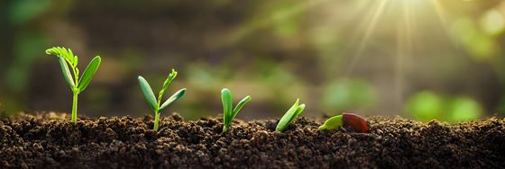 Sustainable Goals: The Pillars - Shama Petchburi 47 Bangkok