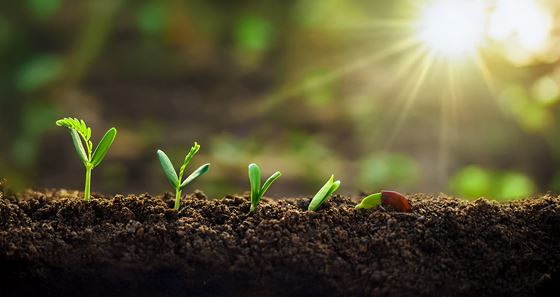 Sustainable Goals: The Pillars - Shama Yen-Akat Bangkok