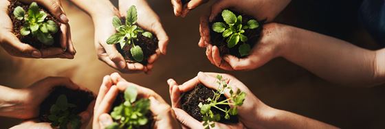 Sustainable Strategy and Management - Shama Petchburi 47 Bangkok