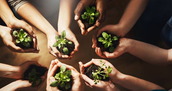 Sustainable Strategy and Management - Shama Yen-Akat Bangkok