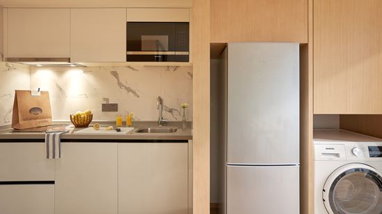 One Bedroom Loft - Kitchenette and Laundry Facility 