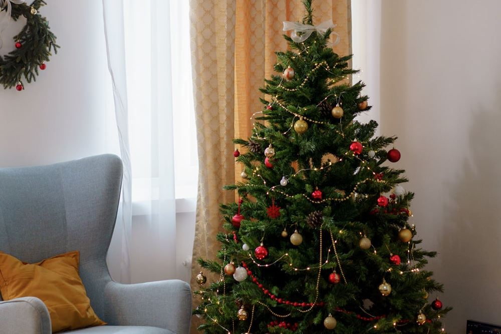 Gather in Christmas - Shama Island North Hong Kong Gather in Christmas - Shama Island North Hong Kong