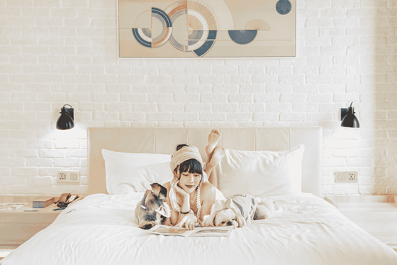 Stay, Play, Wag Away - ชามา เย็นอากาศ กรุงเทพฯ